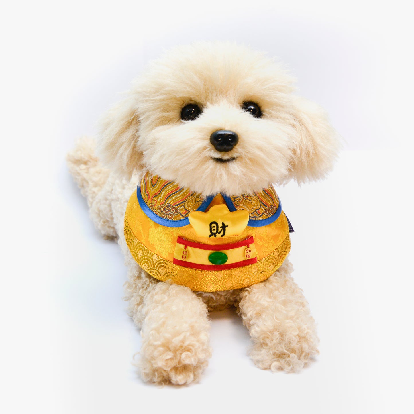 God of Wealth | Pet Bib