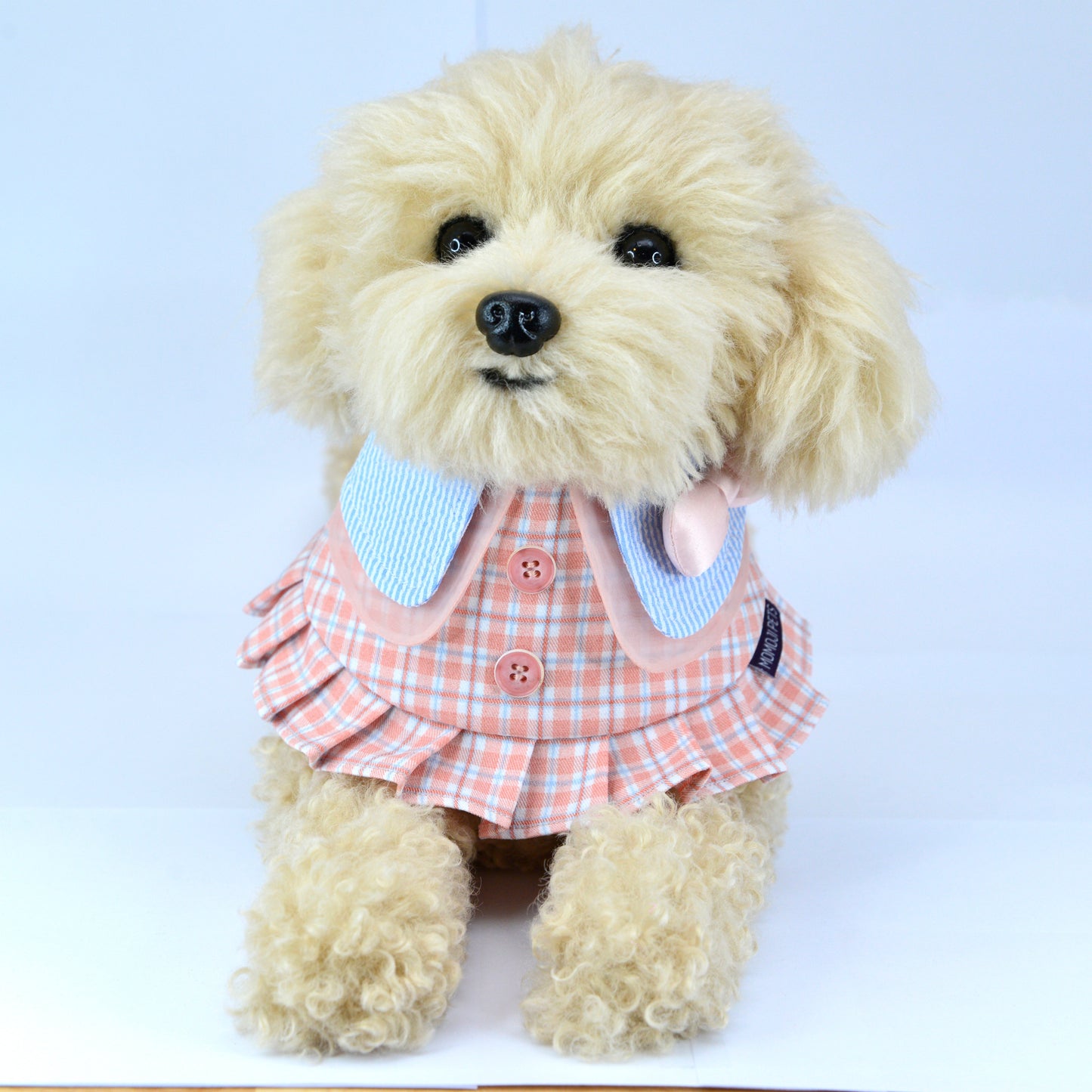 Toy poodle wearing the Evelyn pink plaid bandana with blue collar
