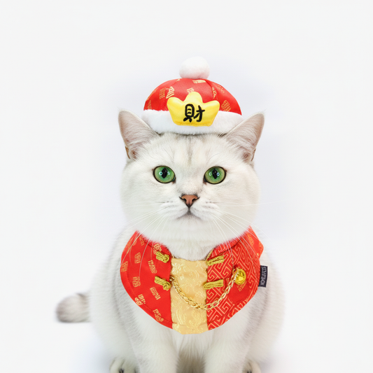 Charlton | Pet Hat
