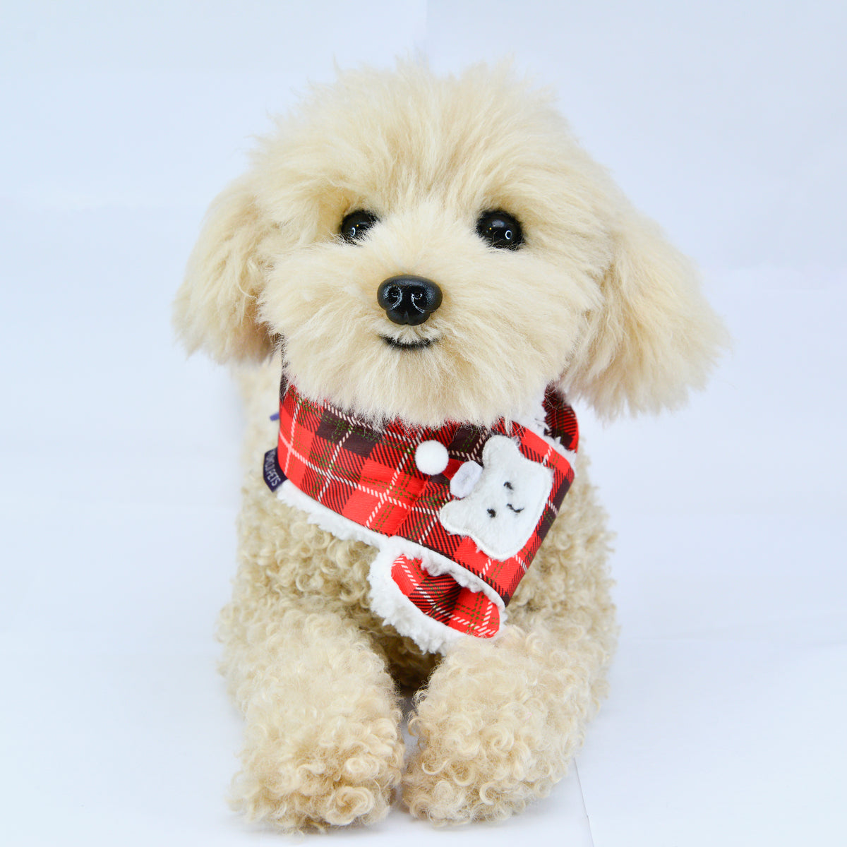 Toy poodle wearing the Beary Christmas red tartan scarf