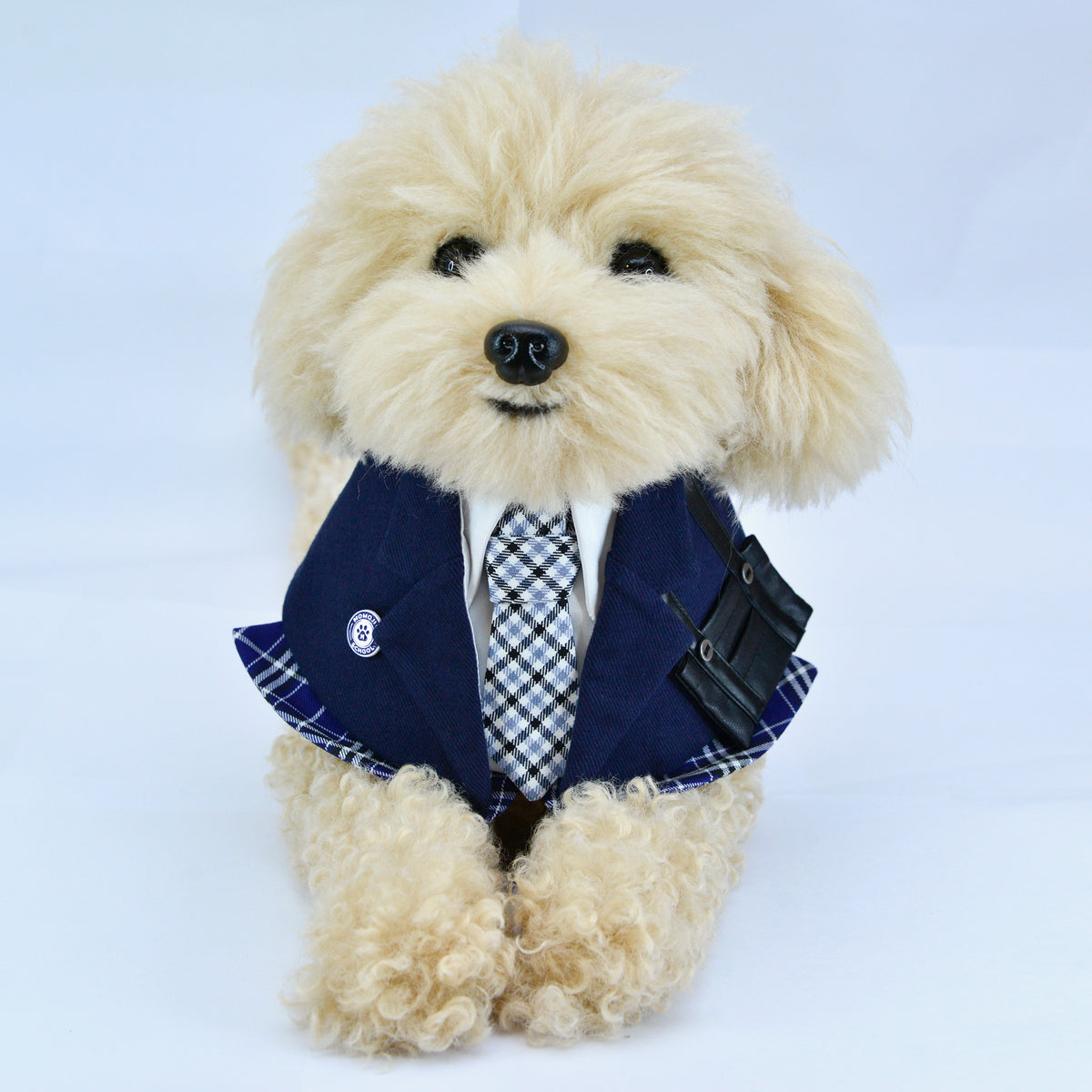 Cream fluffy puppy wearing the Midnight Blue Morrison Hill Boys school blazer bandana