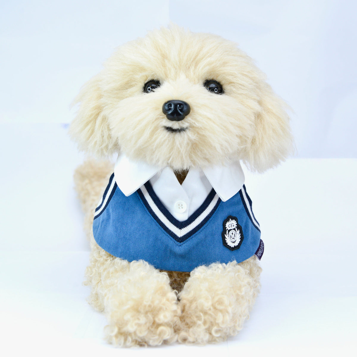 Cream fluffy puppy wearing the Faded Blue Leighton Boys sweater vest bandana