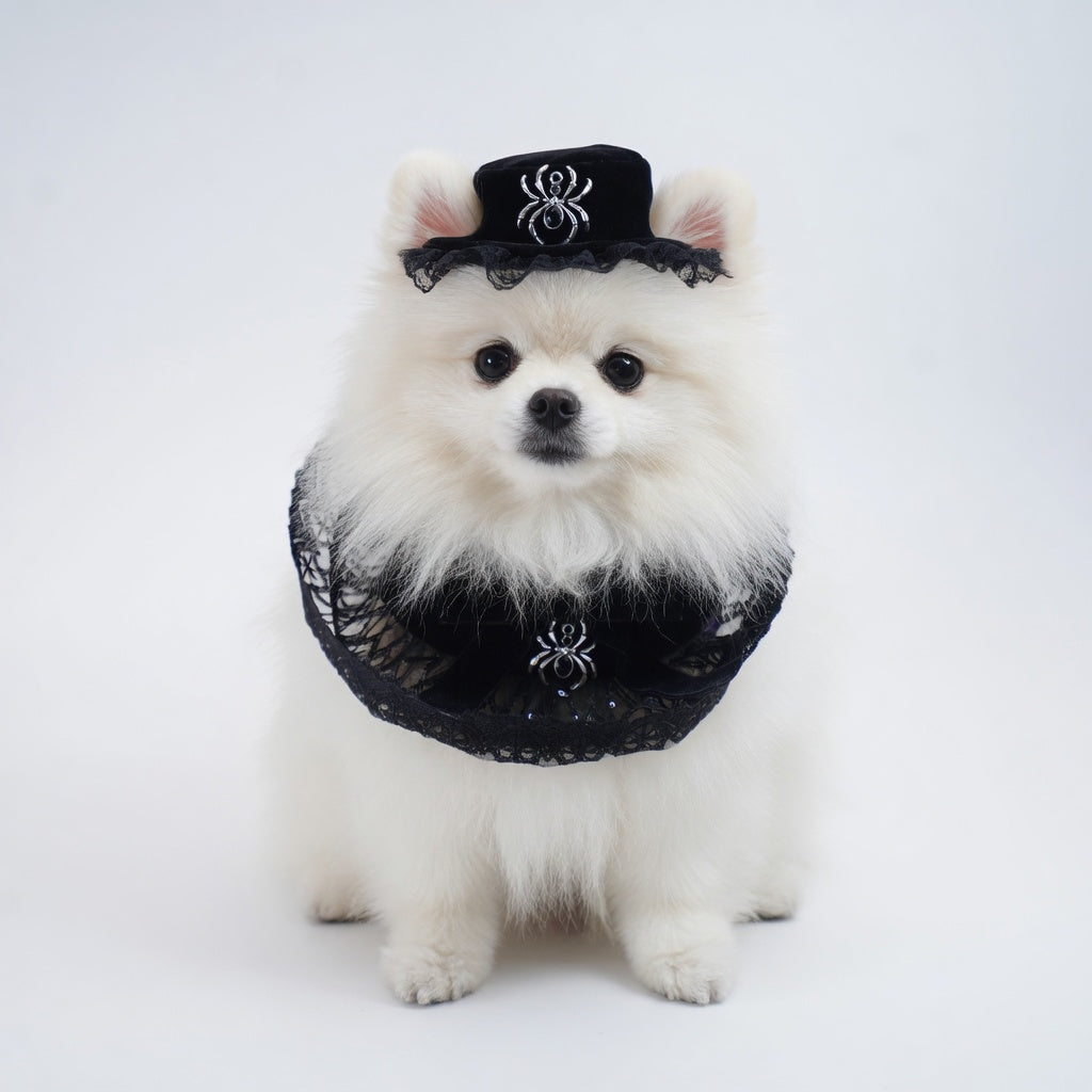 Spider Countess Hat | Pet Hat