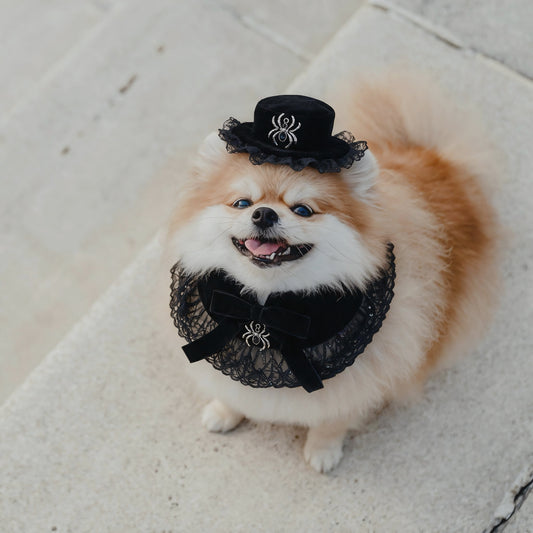 Spider Countess Hat | Pet Hat