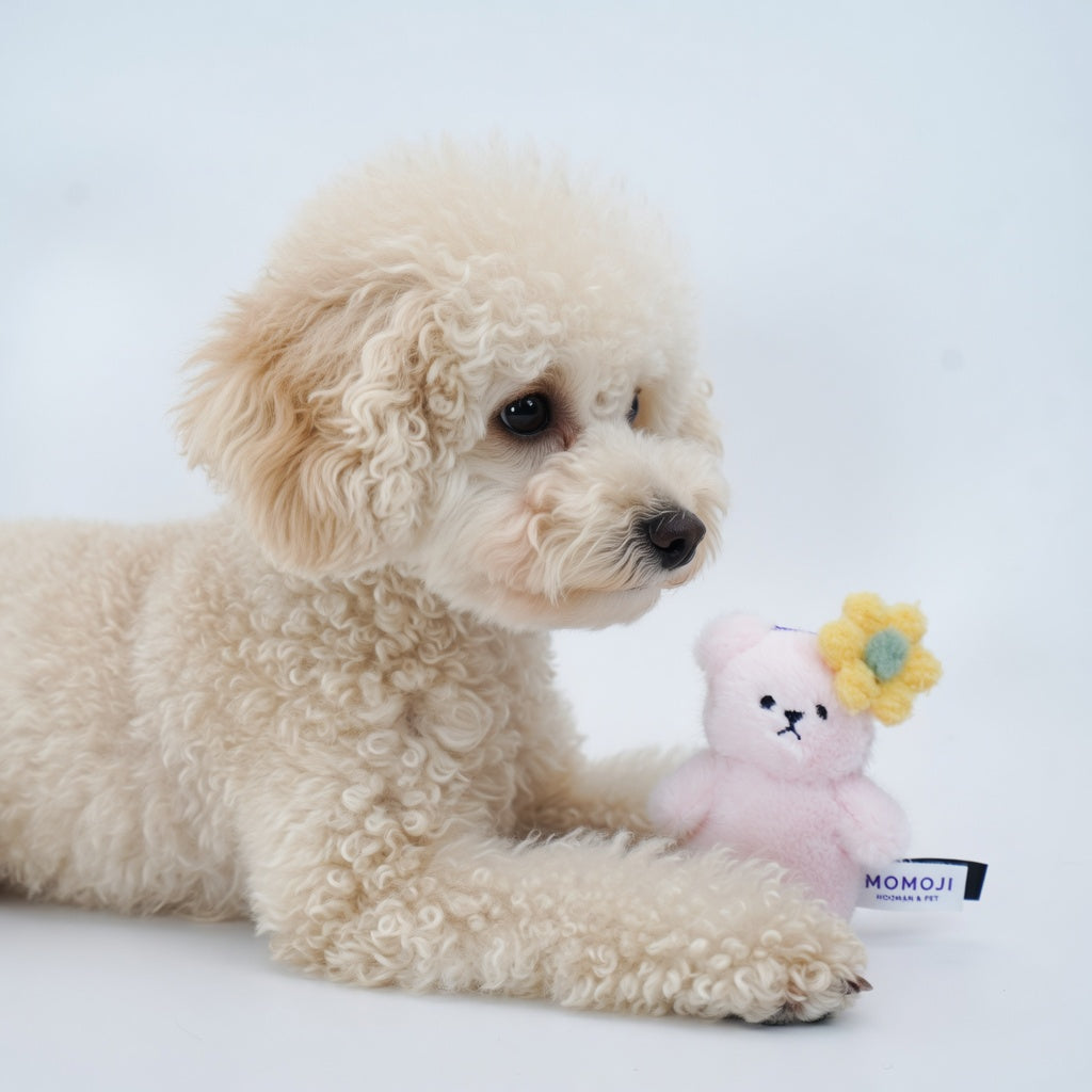 Toy poodle lying beside a small pink Momoji Bear plush