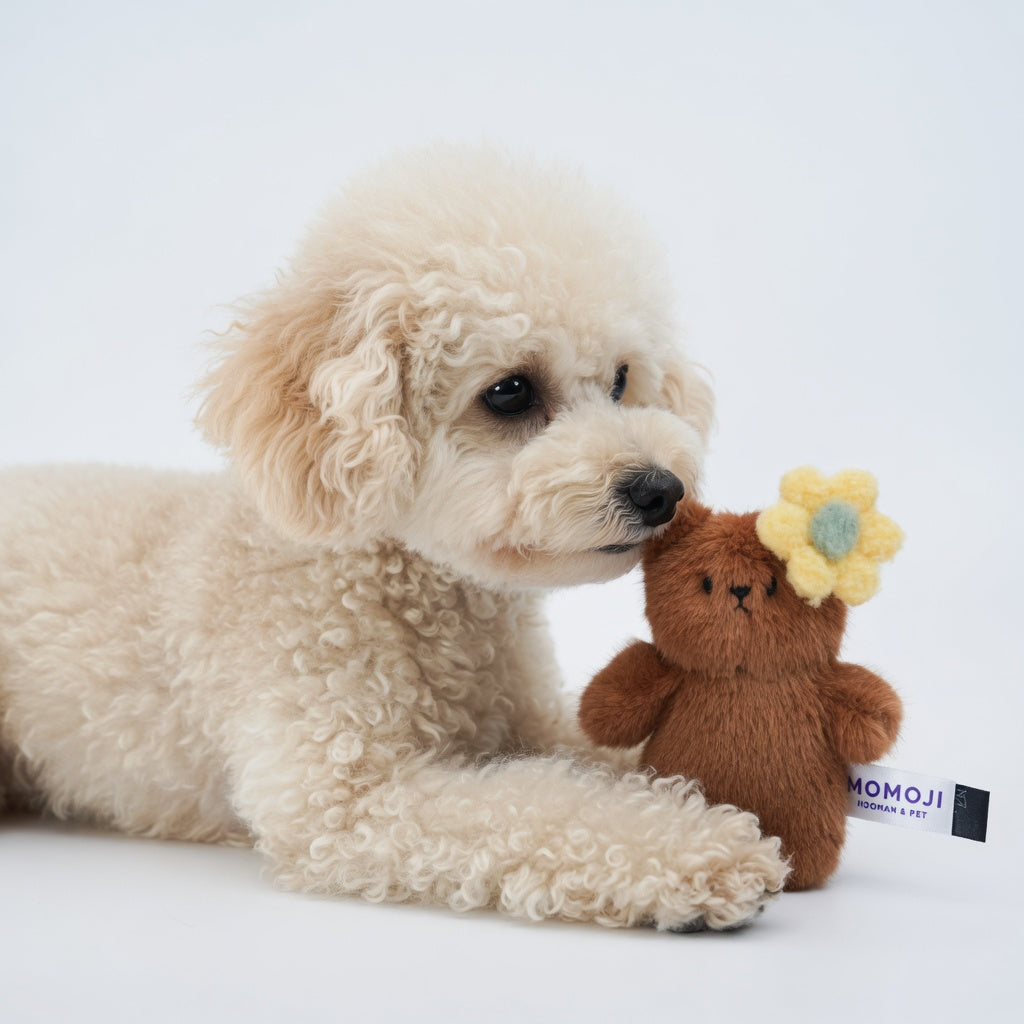 Toy poodle lying beside a small brown Momoji Bear plush