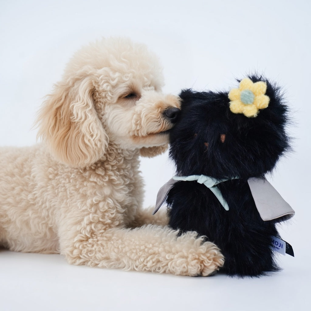 Momoji Bear Family | Pet Plushie