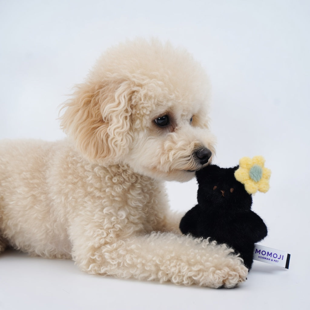 Toy poodle lying beside a small black Momoji Bear plush