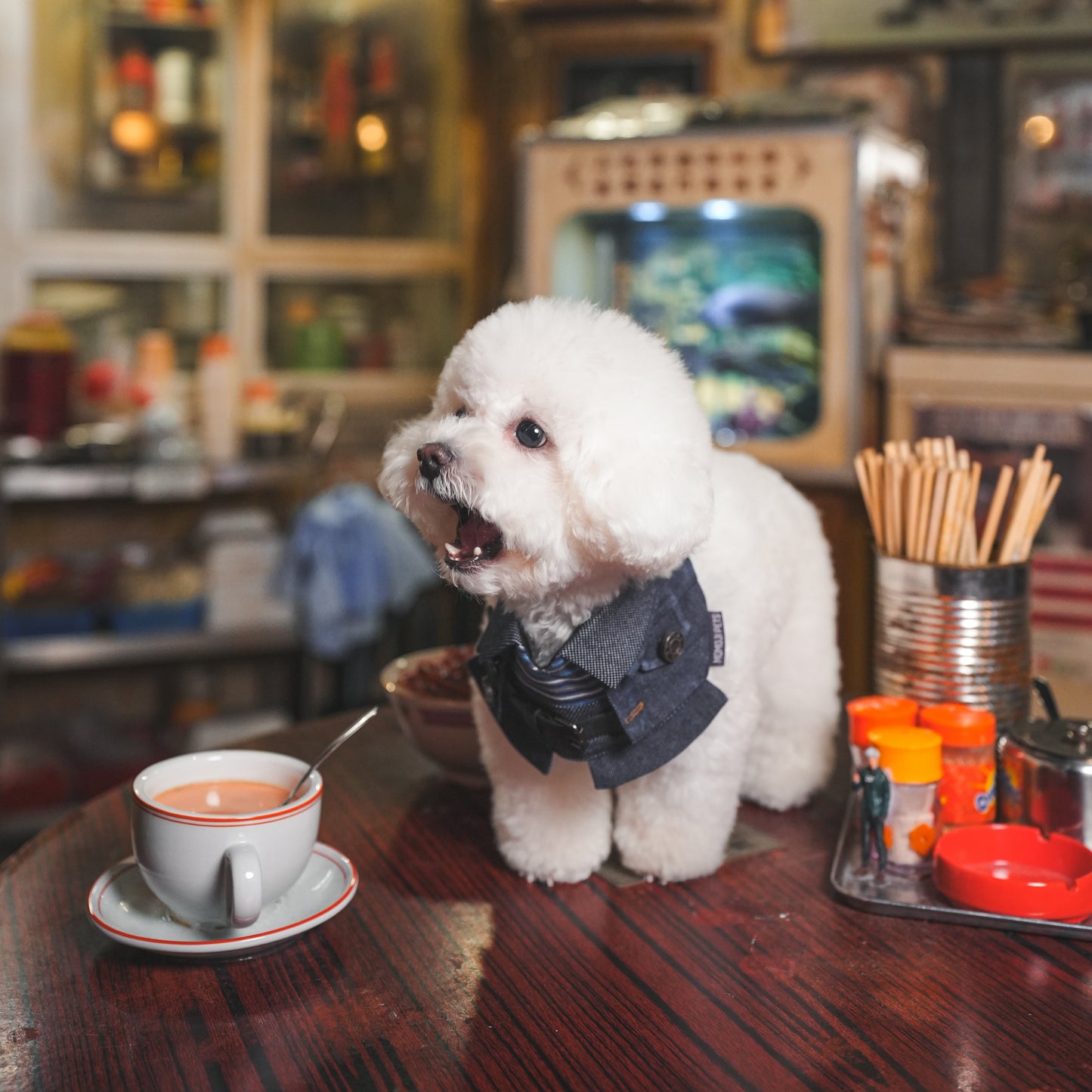 Lok-kwan (洛軍) | Pet Bib
