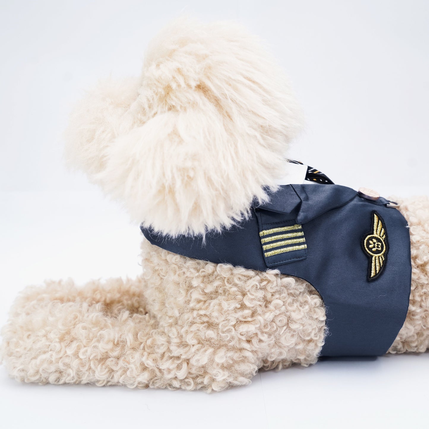 Coolmore II | Pet Harness Vest