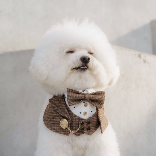 Bond | Pet Neckwear
