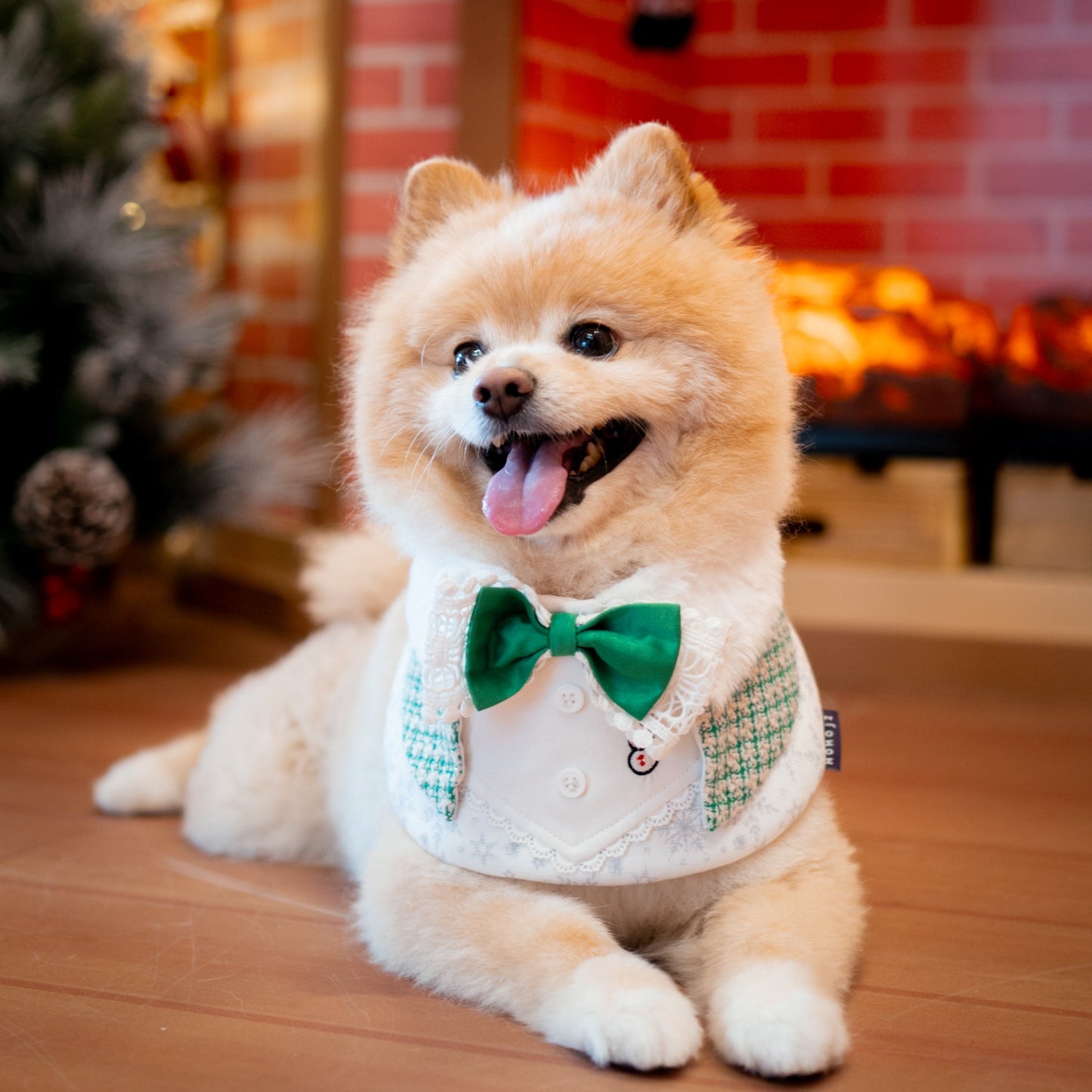 Nancy | Pet Bib