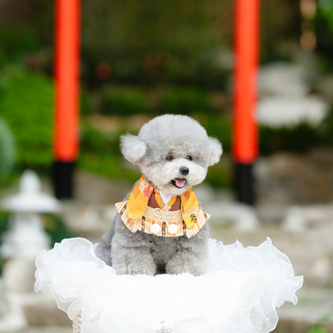 Grey toy poodle at a shrine wearing the Meguro orange kimono bandana