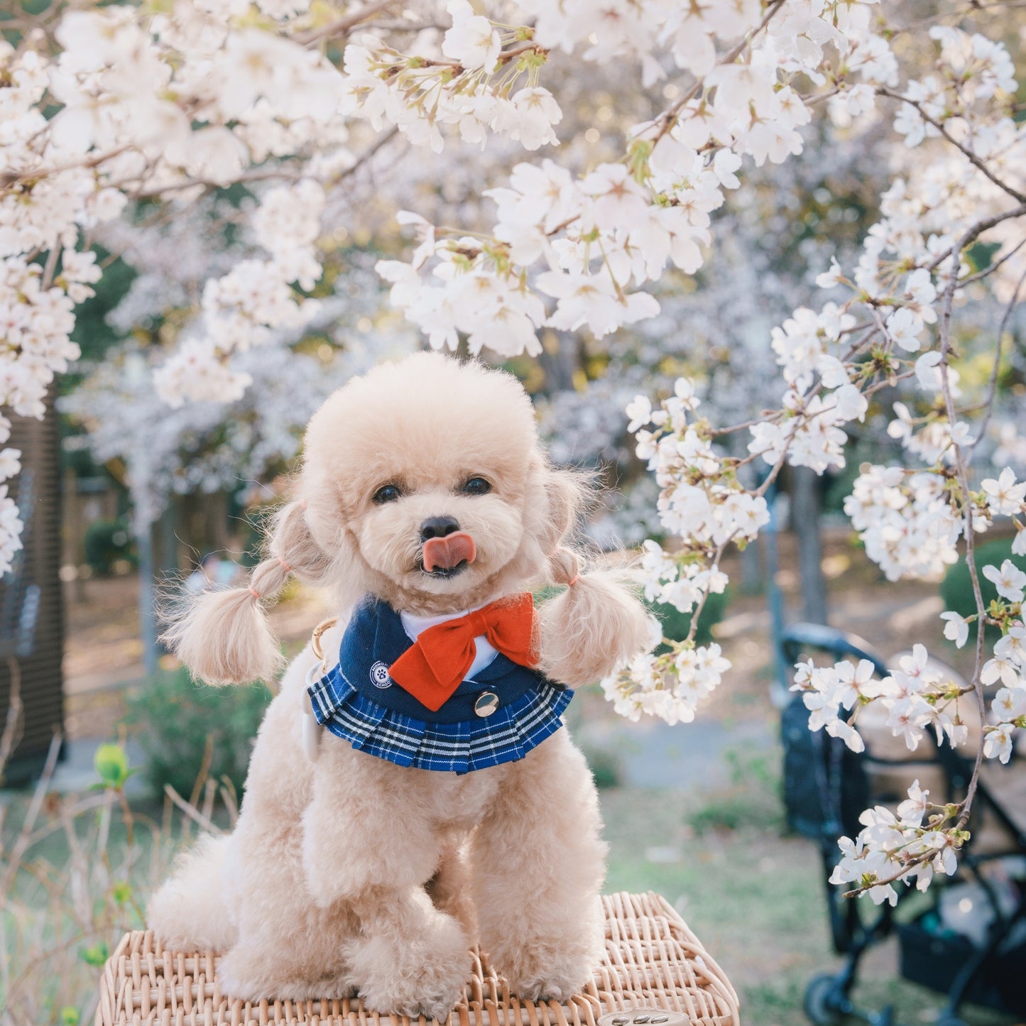 Morrison Hill · Girls | Pet Bib