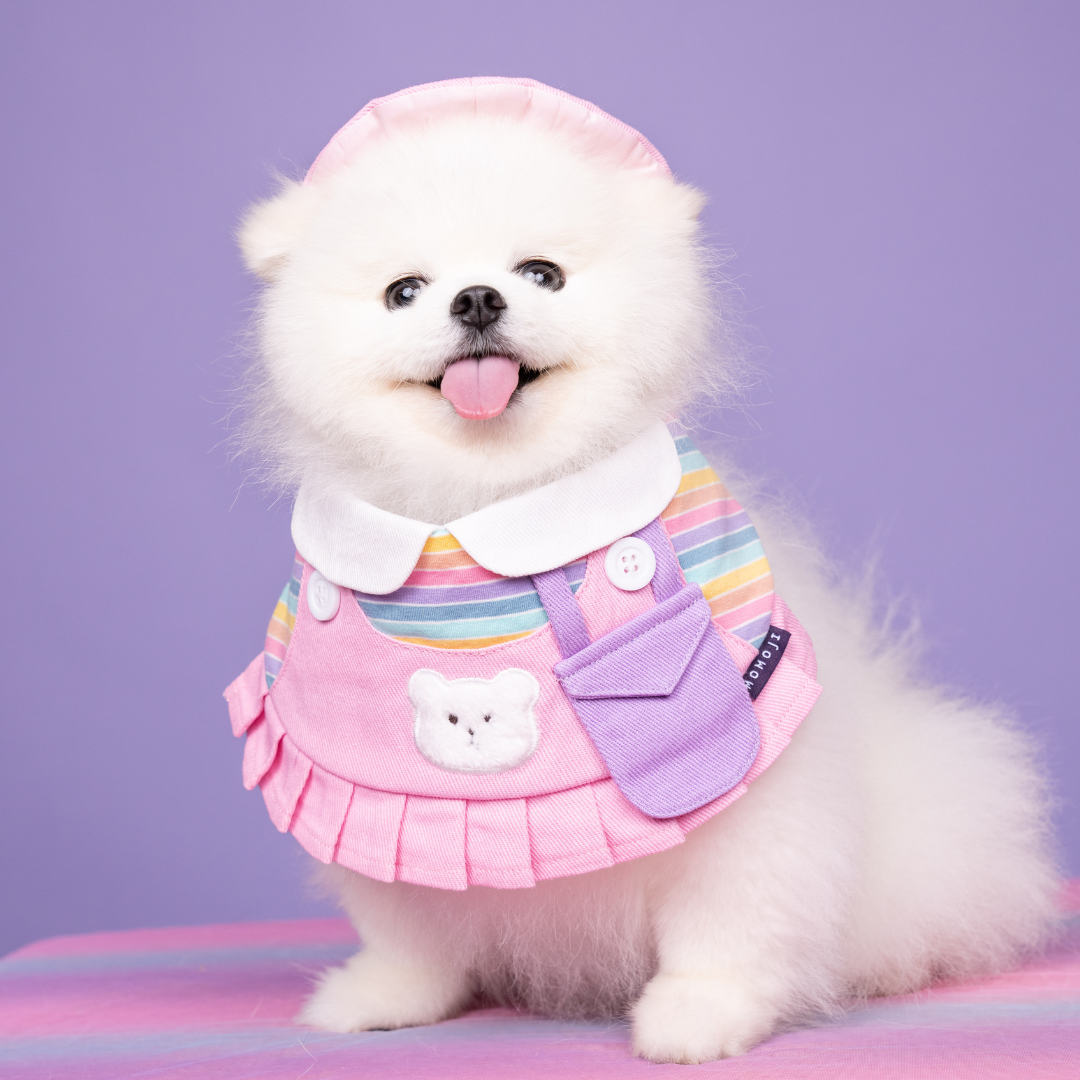 Bear Girls | Pet Bib