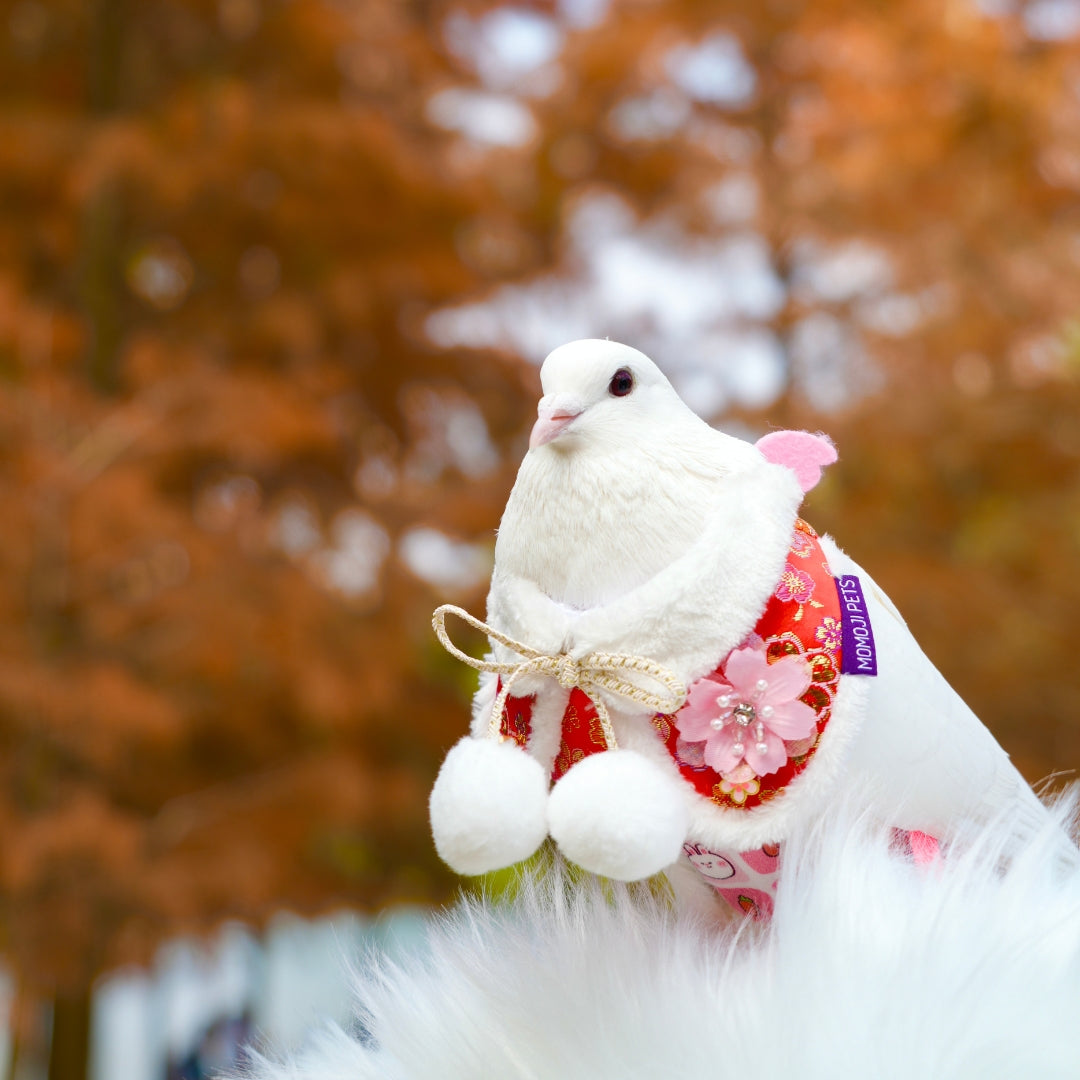 Greet | Pet Bib