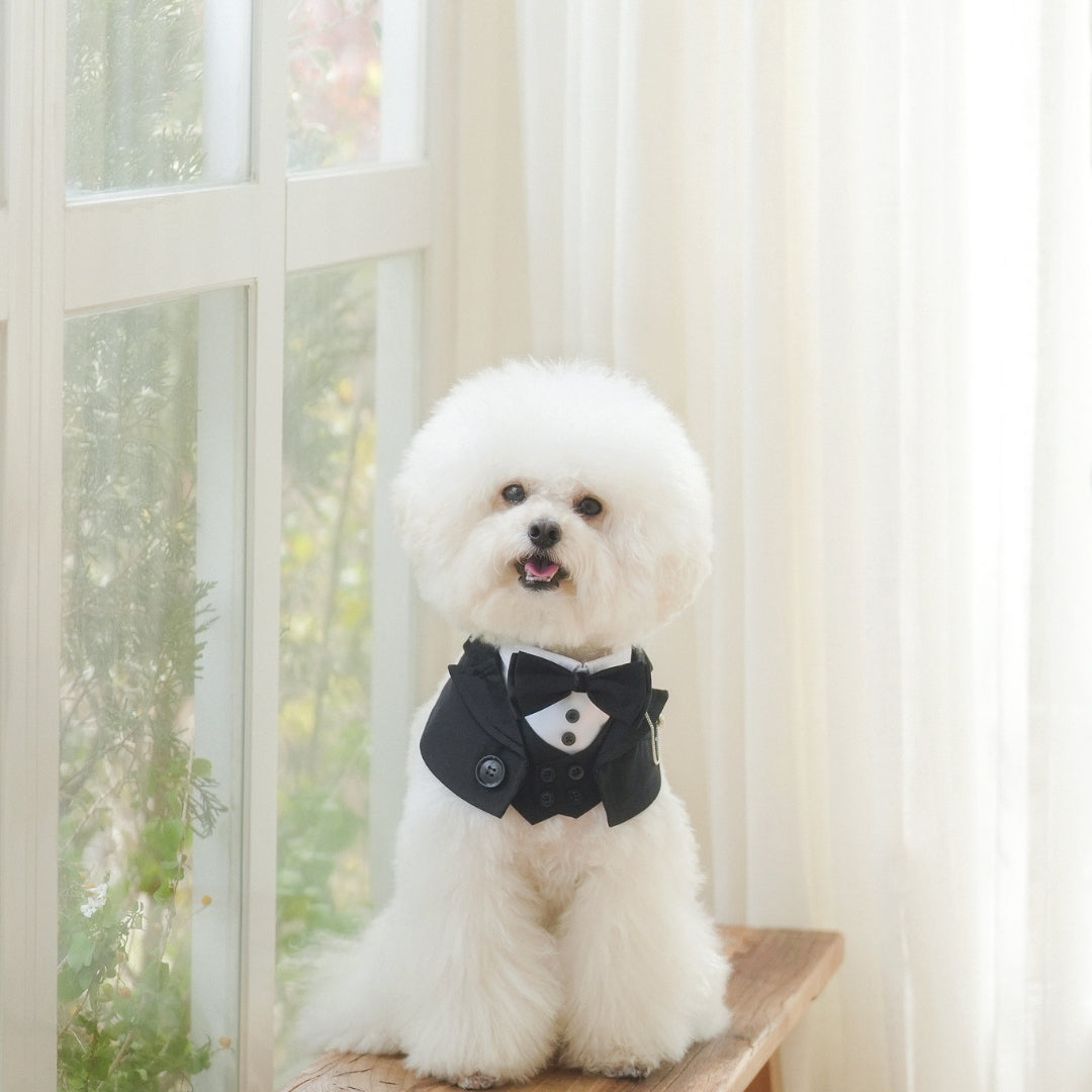 Kingsway | Pet Bib