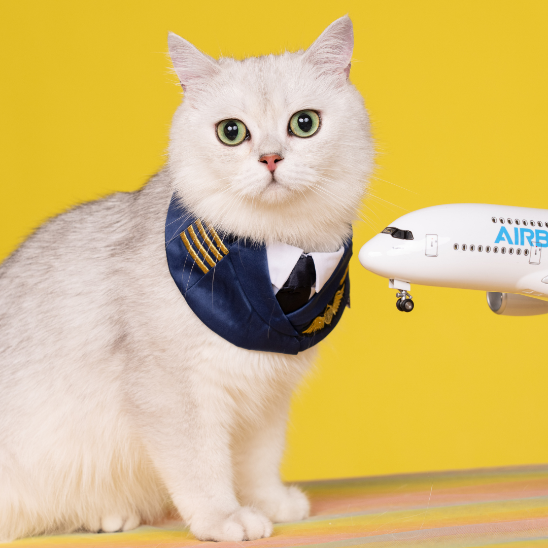 Momoji Air - Pilot | Pet Bib