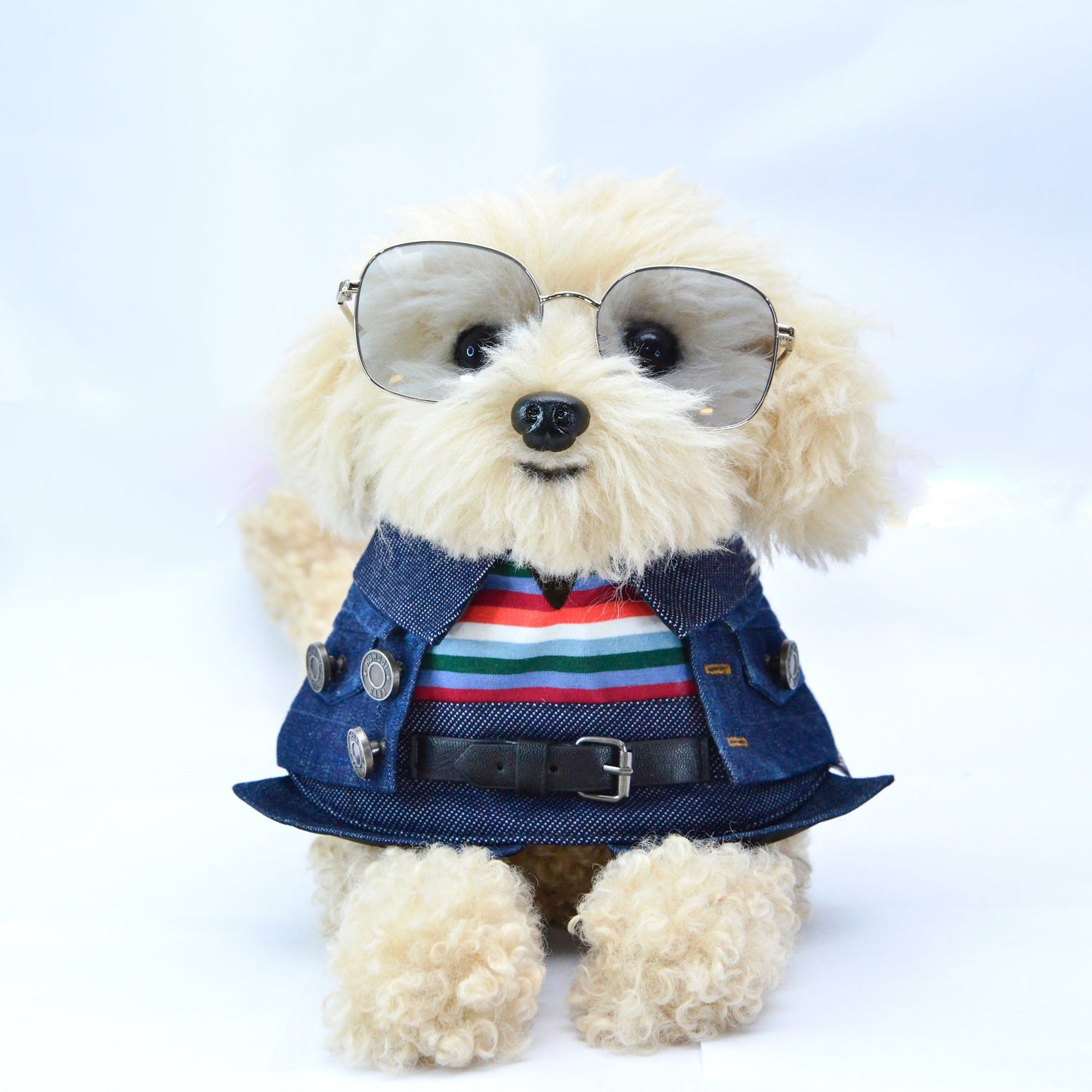 Lok-kwan (洛軍) | Pet Bib