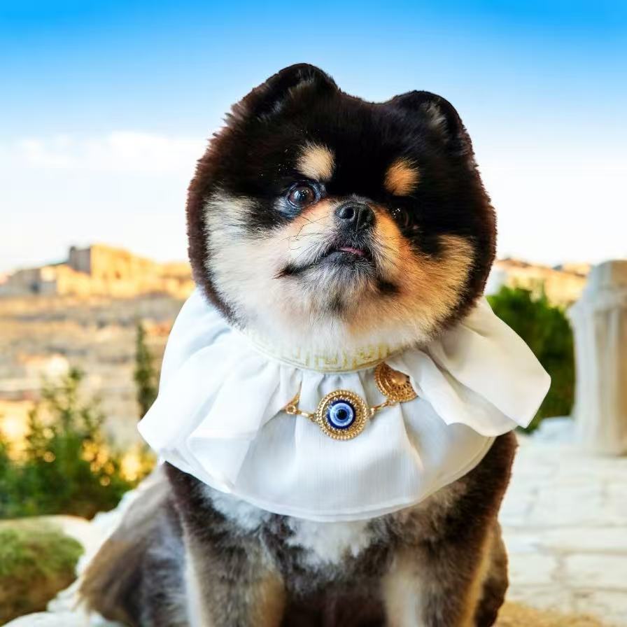 Athena | Pet Bib