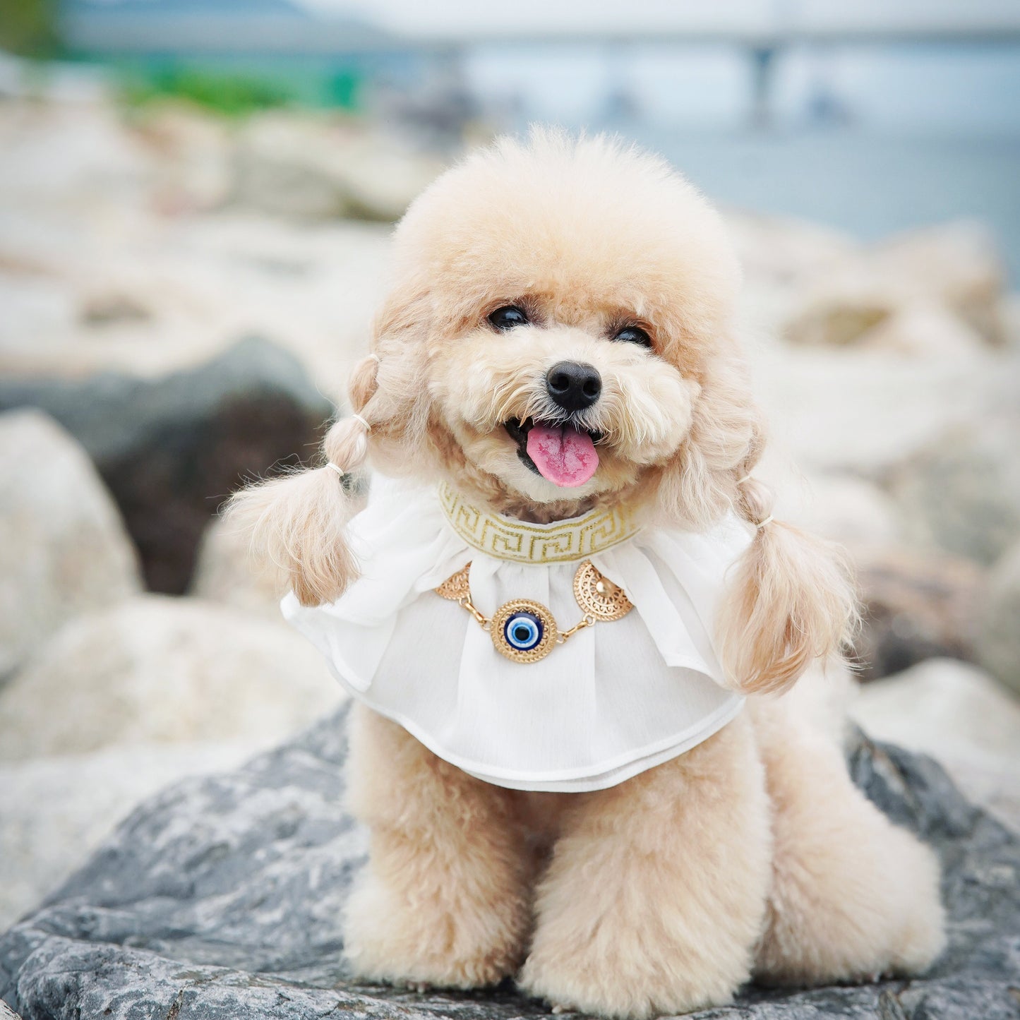 Athena | Pet Bib