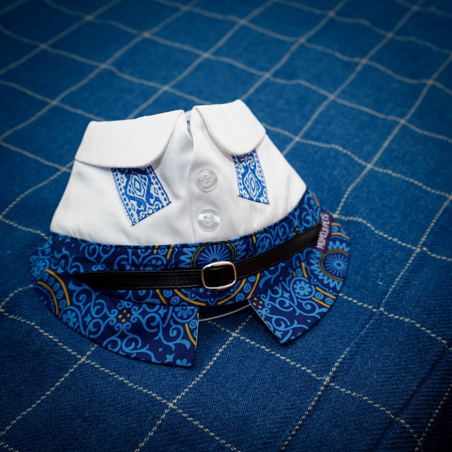 Apollo | Pet Bib