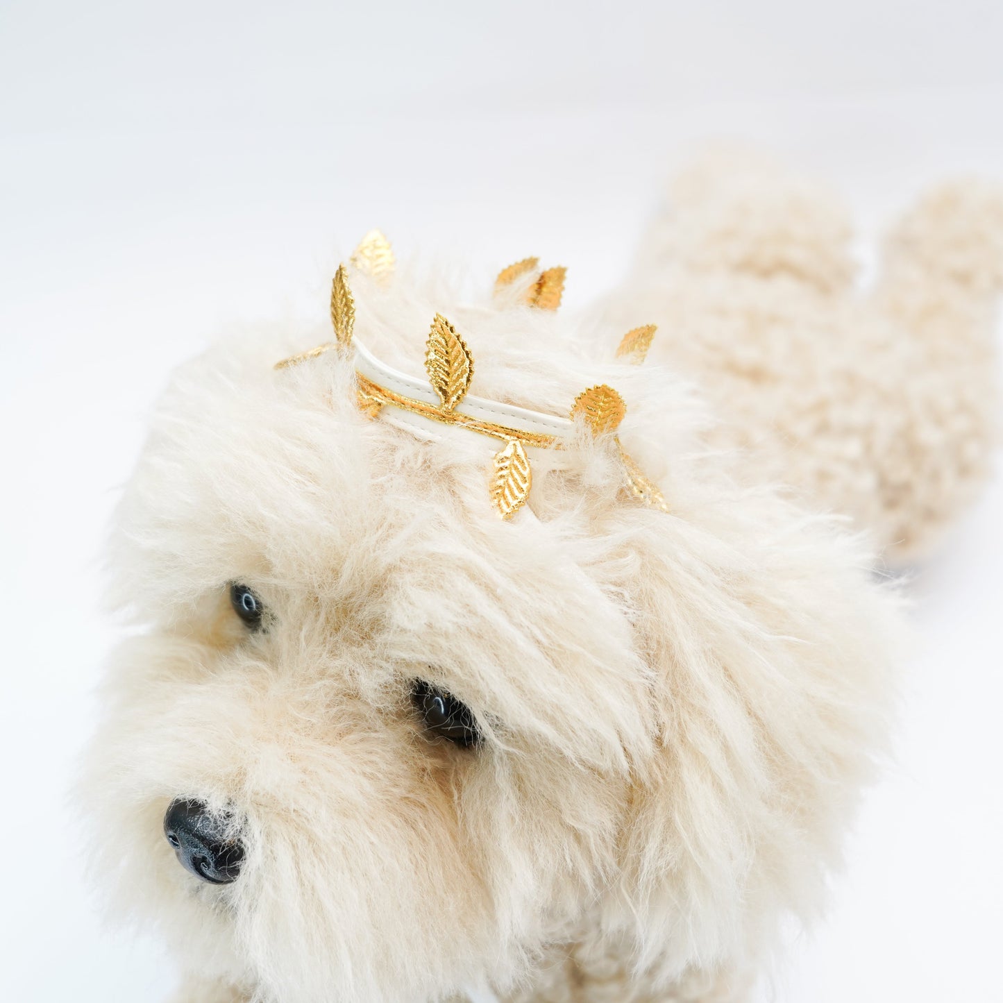 Hera | Pet Hat