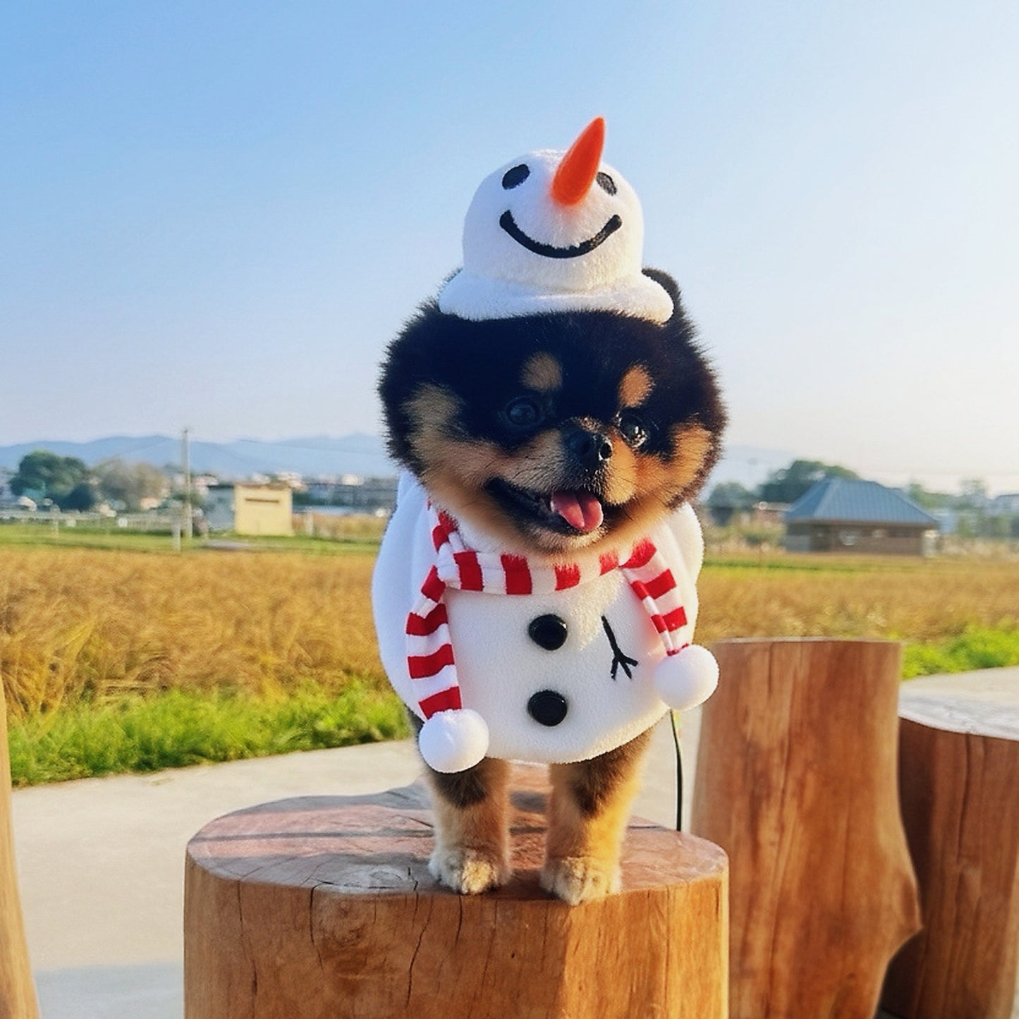 Momosnow | Pet Hat