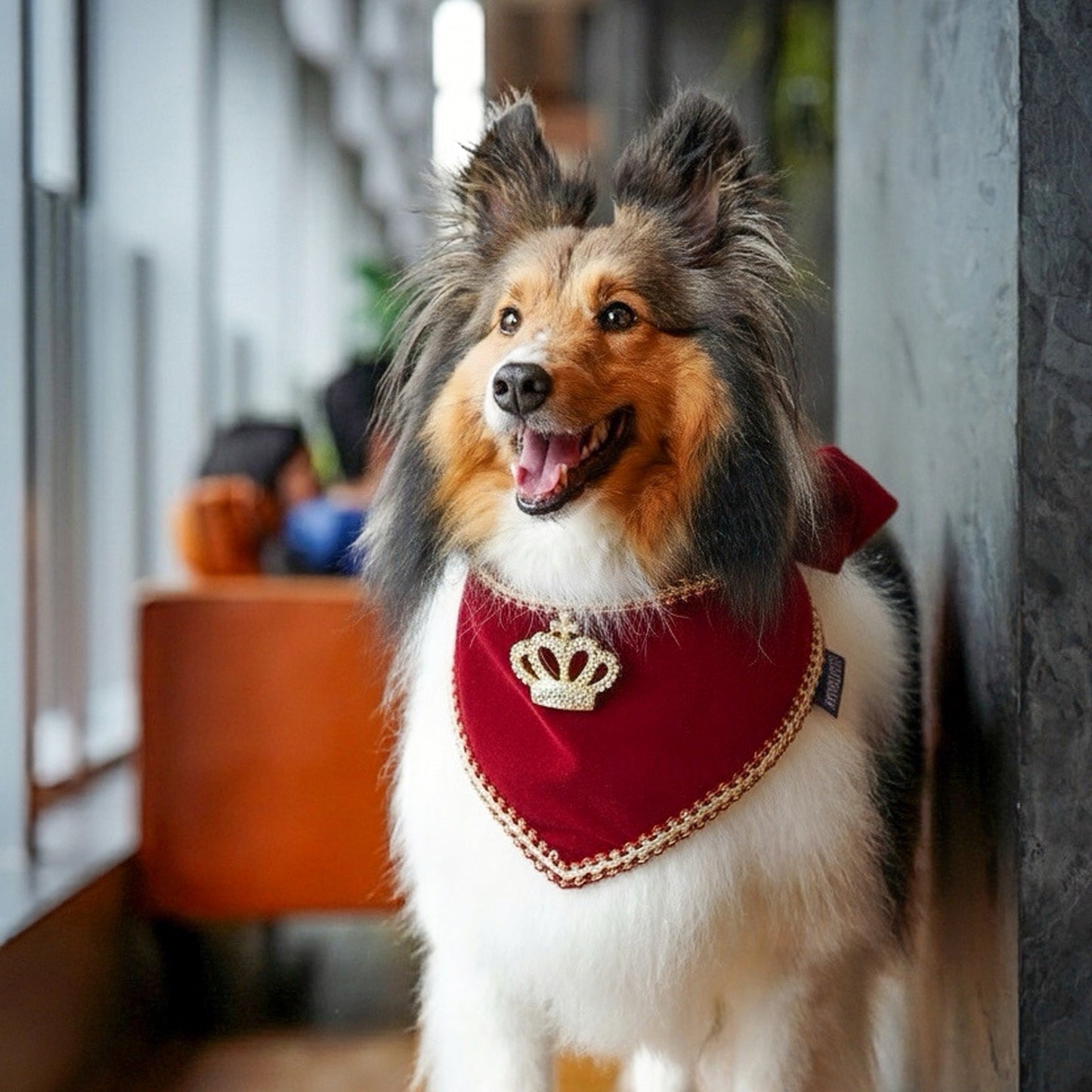 Starry Night Lux | Pet Bandana