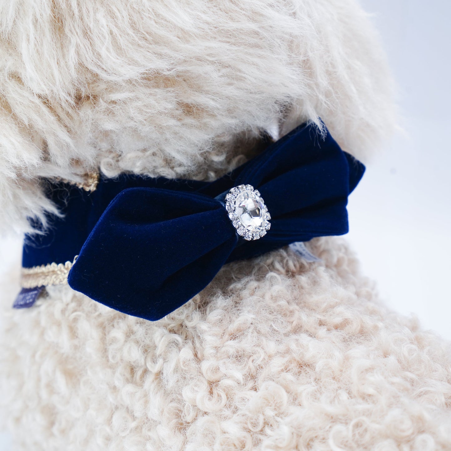 Starry Night Lux | Pet Bandana