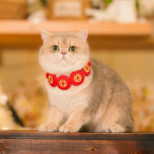 Prosperity Medallion | Pet LNY Neckwear