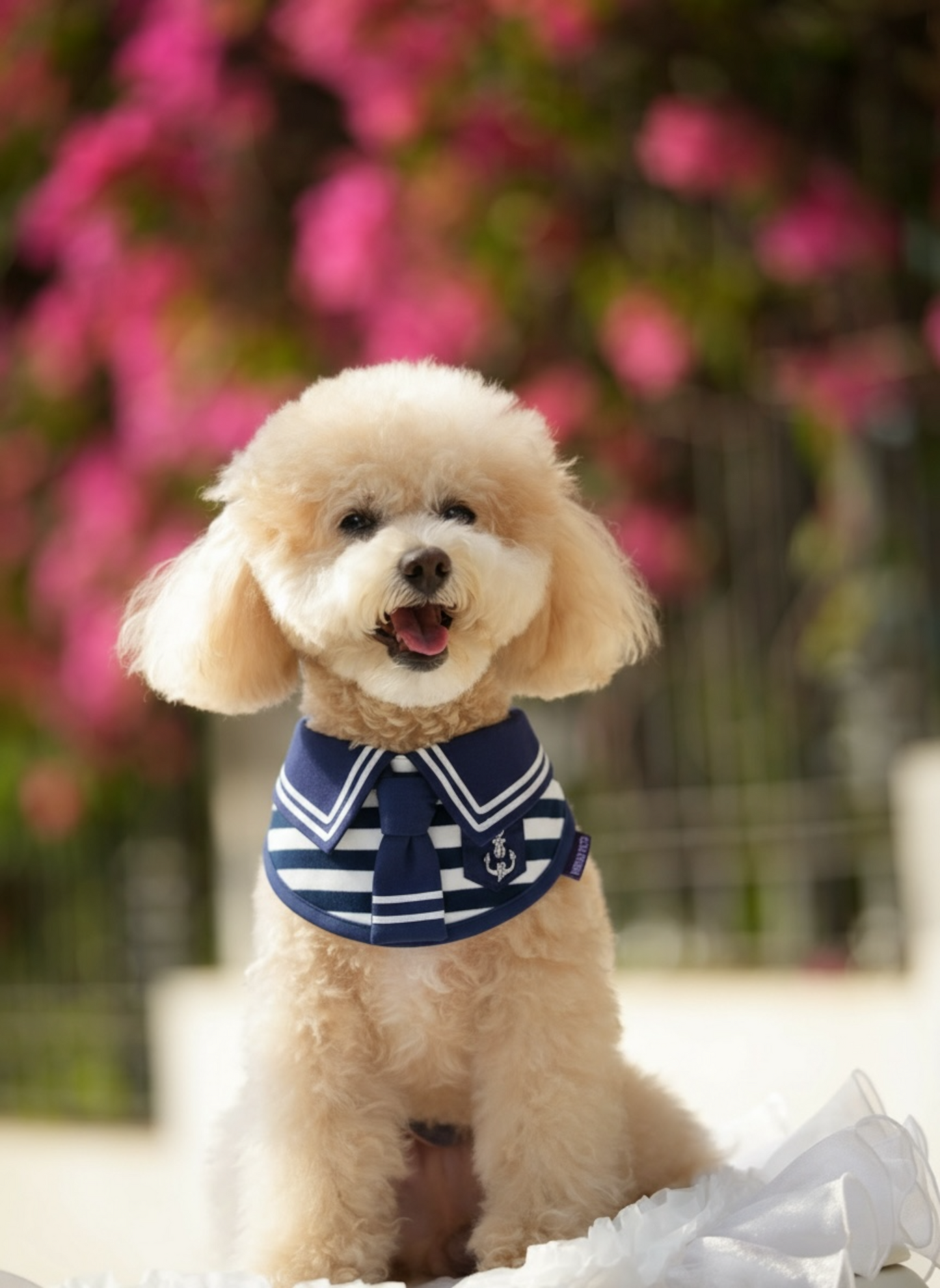 Santiano  | Pet Bib