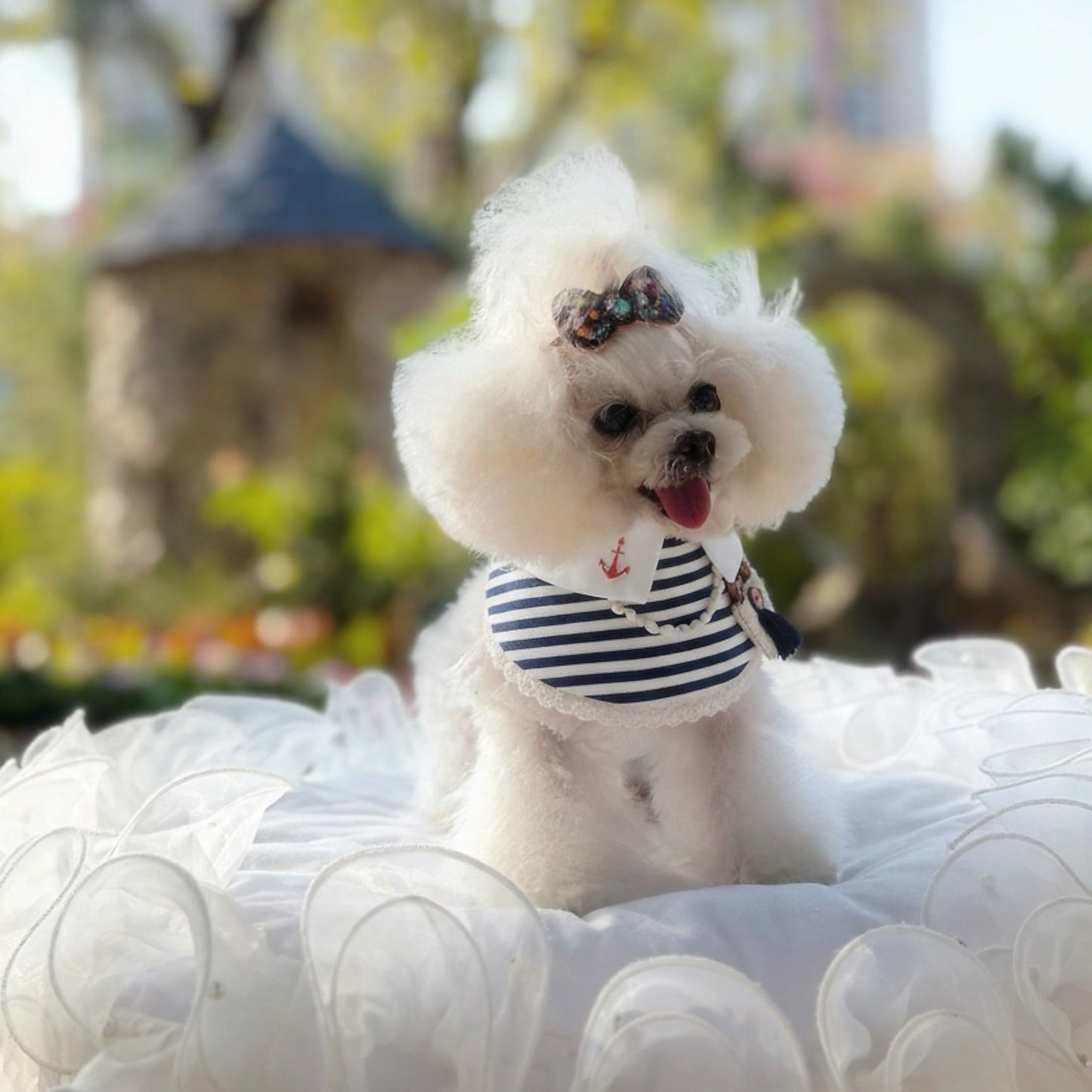 Deauville | Pet Bib
