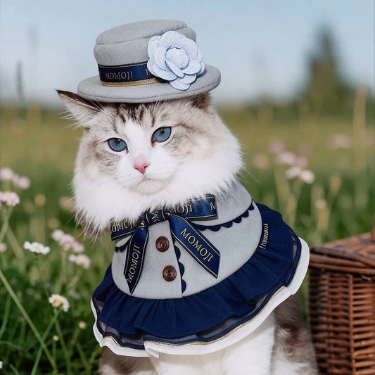 Ragdoll cat in a meadow wearing the Chelsea bandana and Mayfair hat