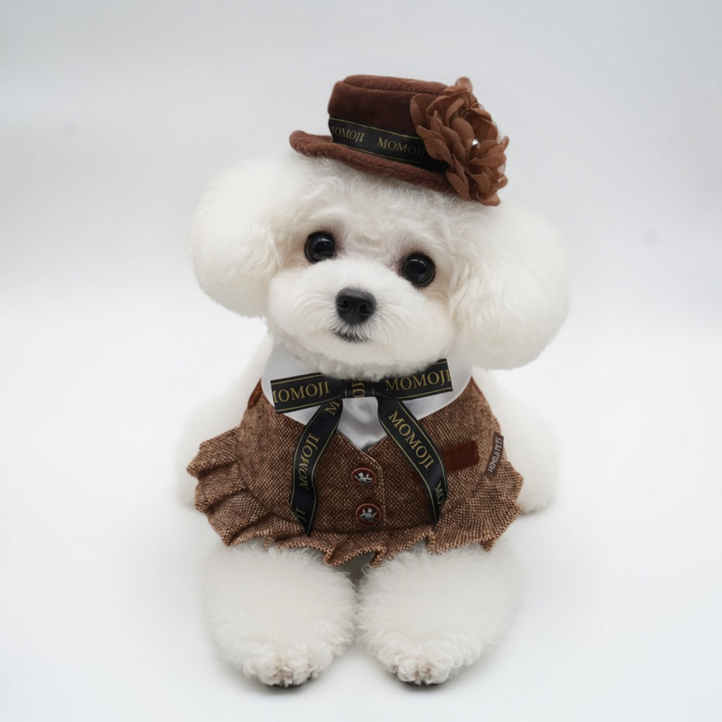 Bichon Frise wearing the Piccadilly rose hat and tweed bandana