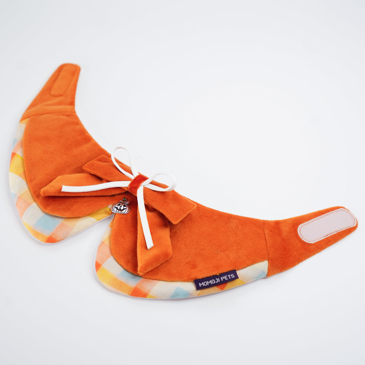 Pumpkin Scholar | Pet Neckwear