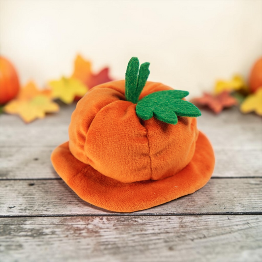 Pumpkin Scholar Hat | Pet Hat