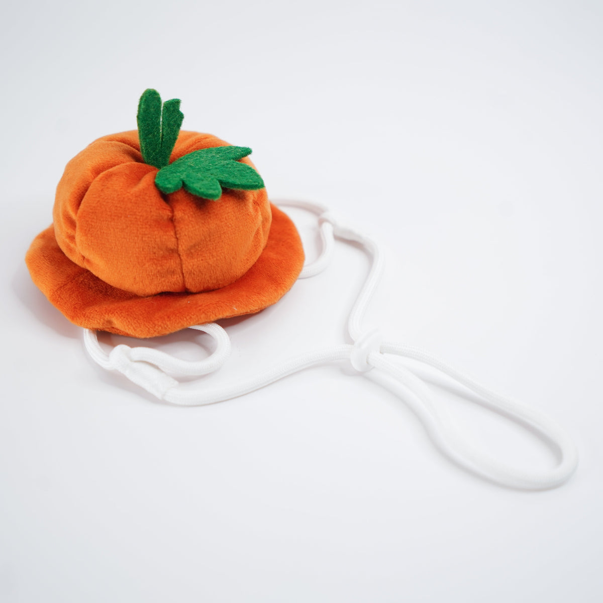 Pumpkin Scholar Hat | Pet Hat
