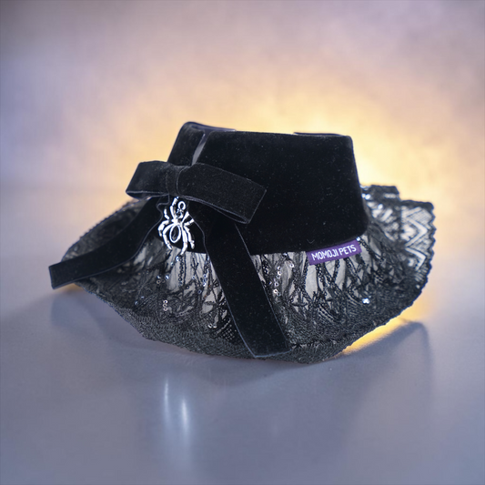 Spider Countess  | Pet Neckwear