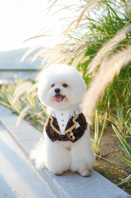 Harrington | Pet Neckwear