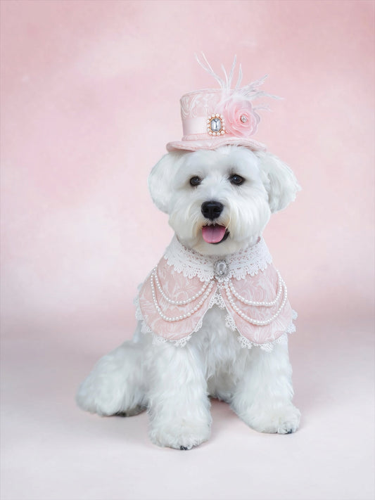 Georgiana | Pet Hat