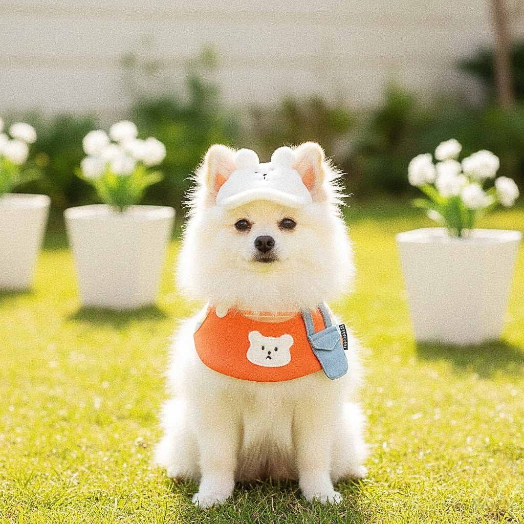 Bear Kennedy | Pet Hat