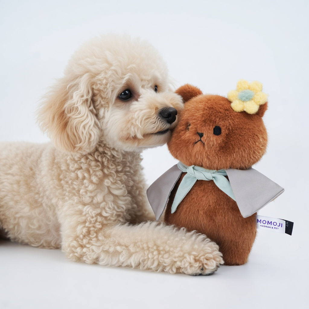 Momoji Bear Family | Pet Plushie