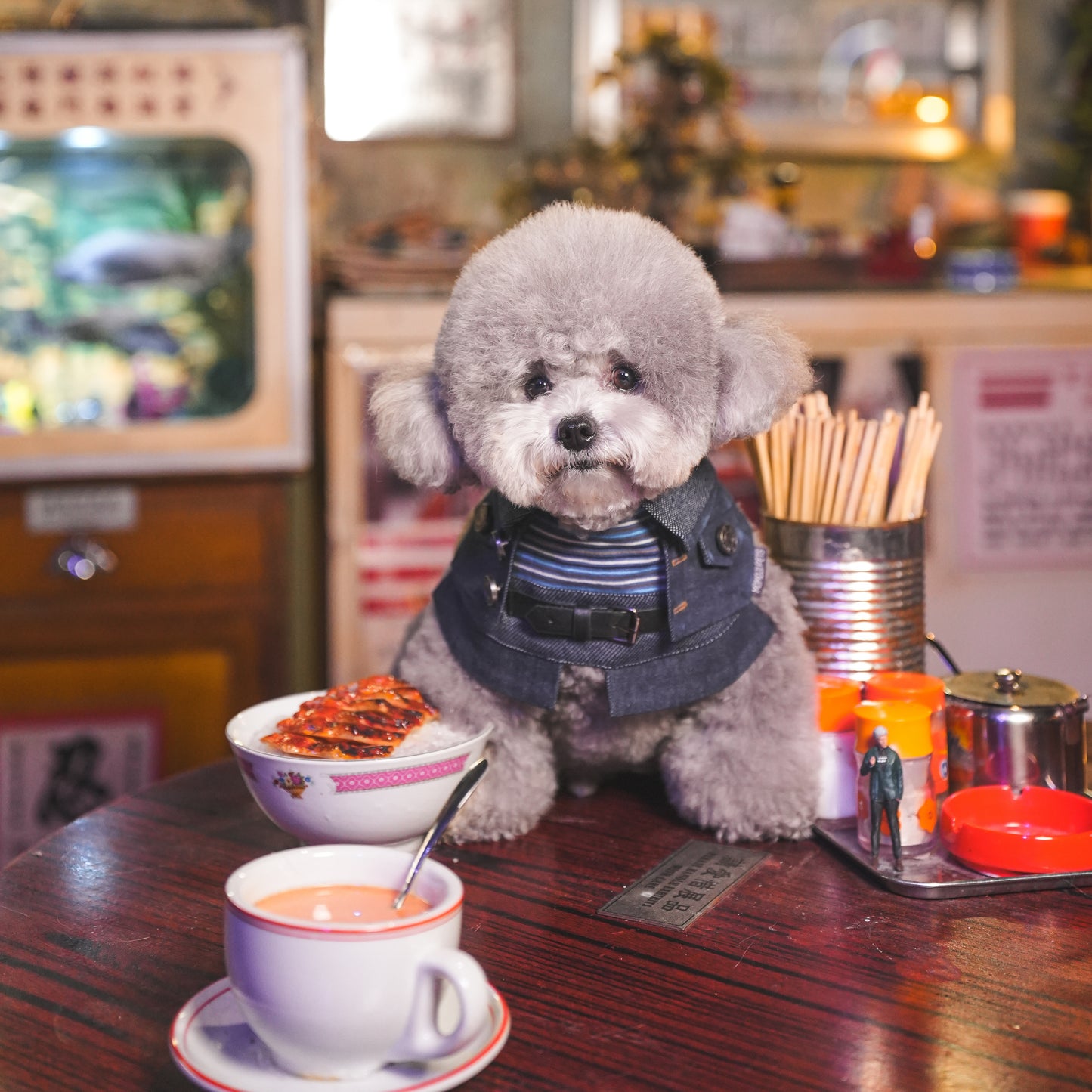 Lok-kwan (洛軍) | Pet Bib