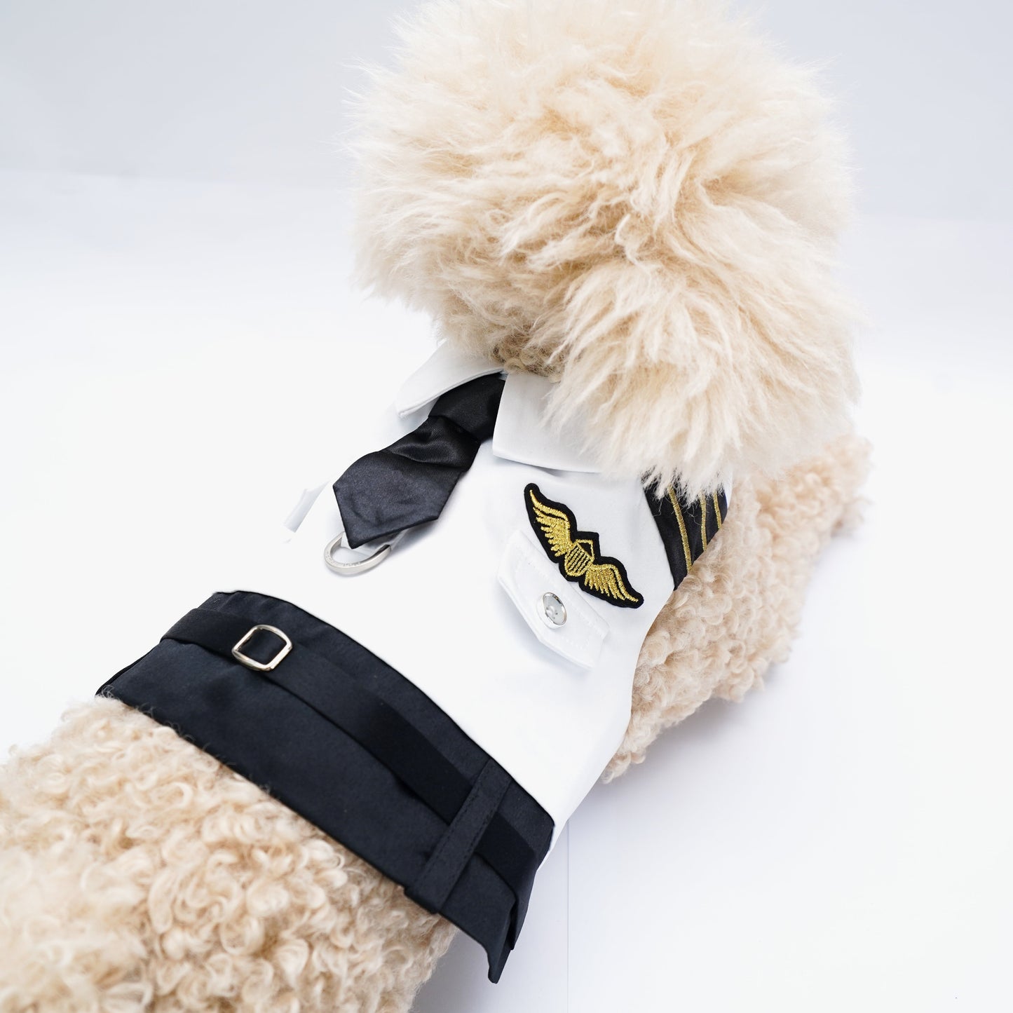 Coolmore | Pet Harness Vest