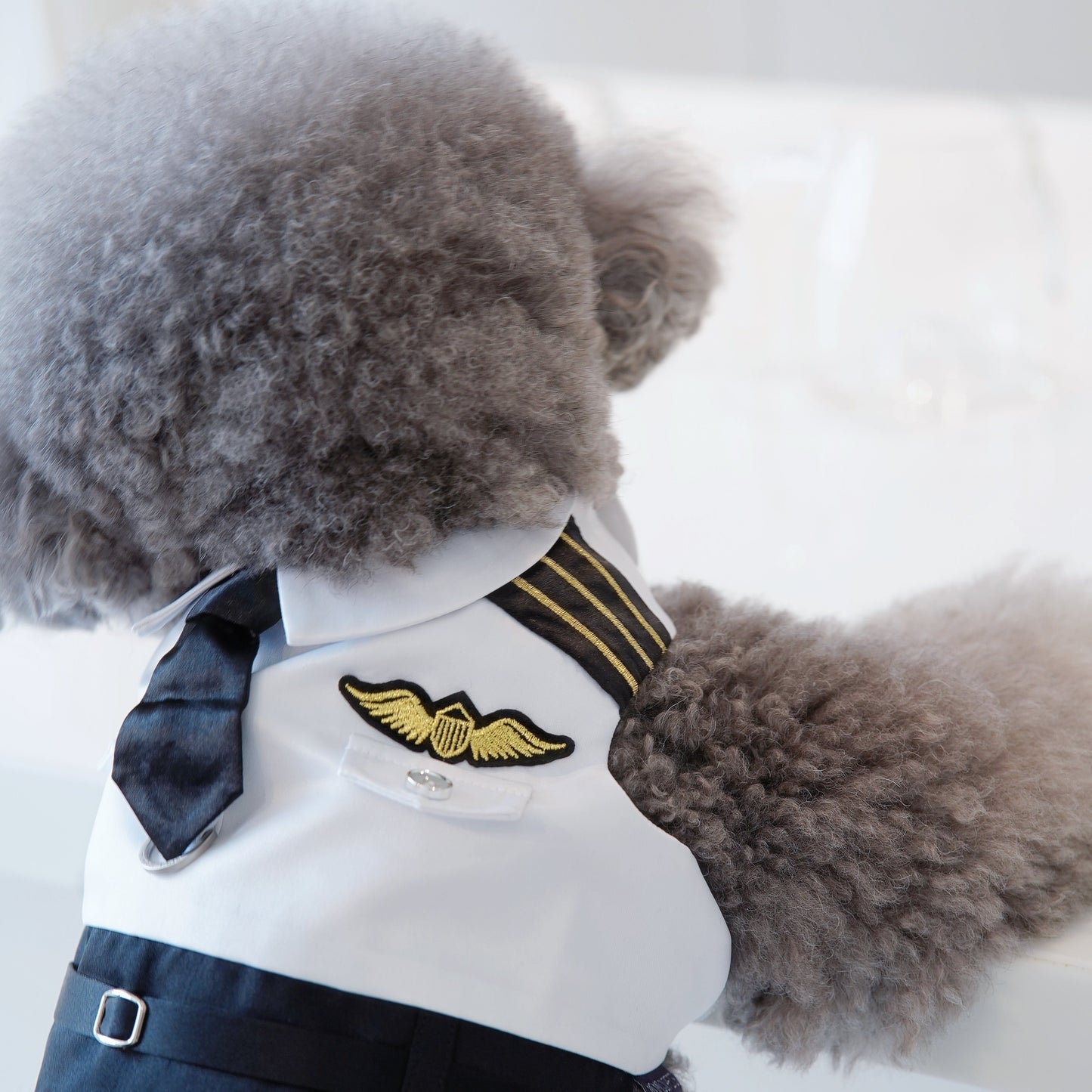 Coolmore | Pet Harness Vest