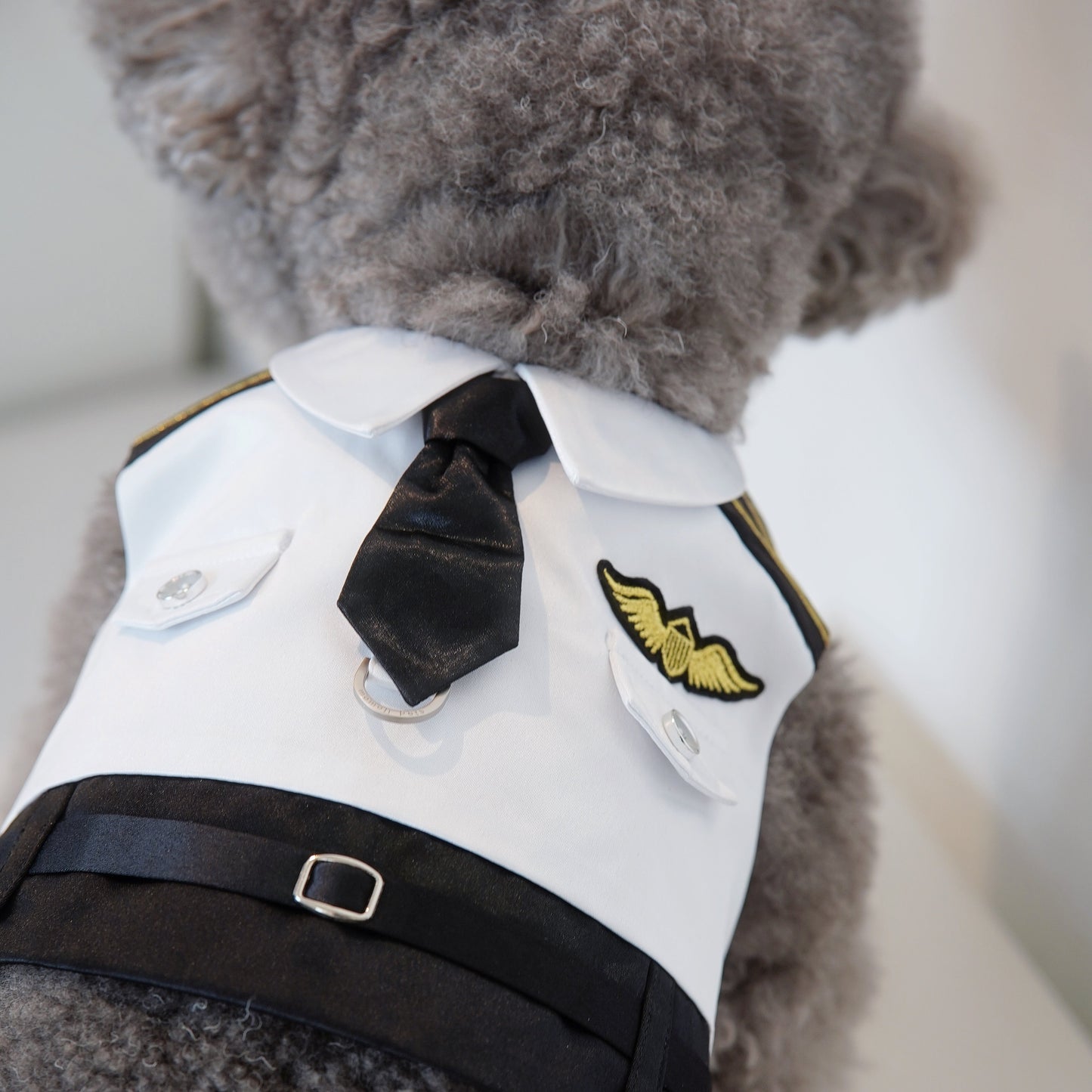 Coolmore | Pet Harness Vest