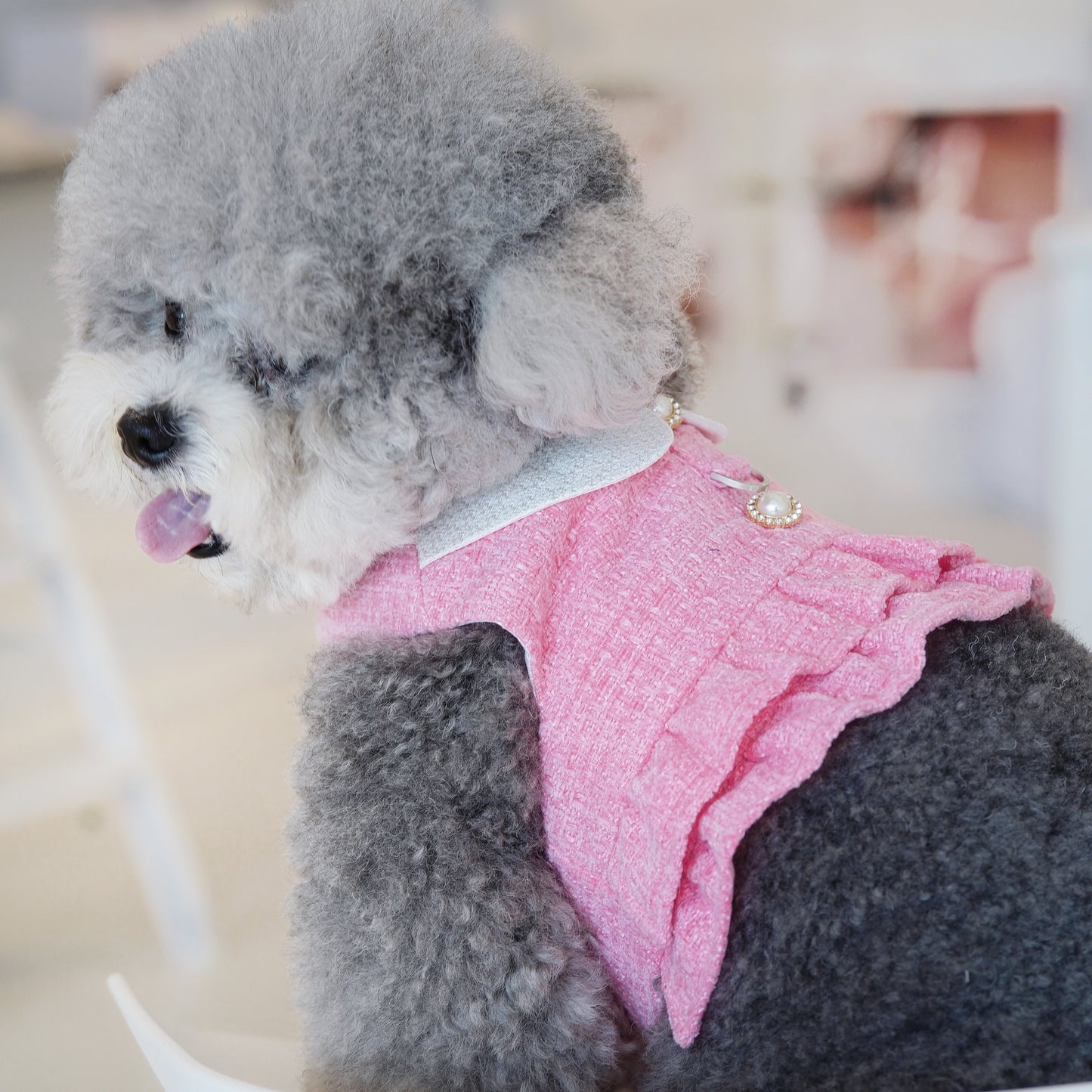 Kristen | Pet Harness Vest