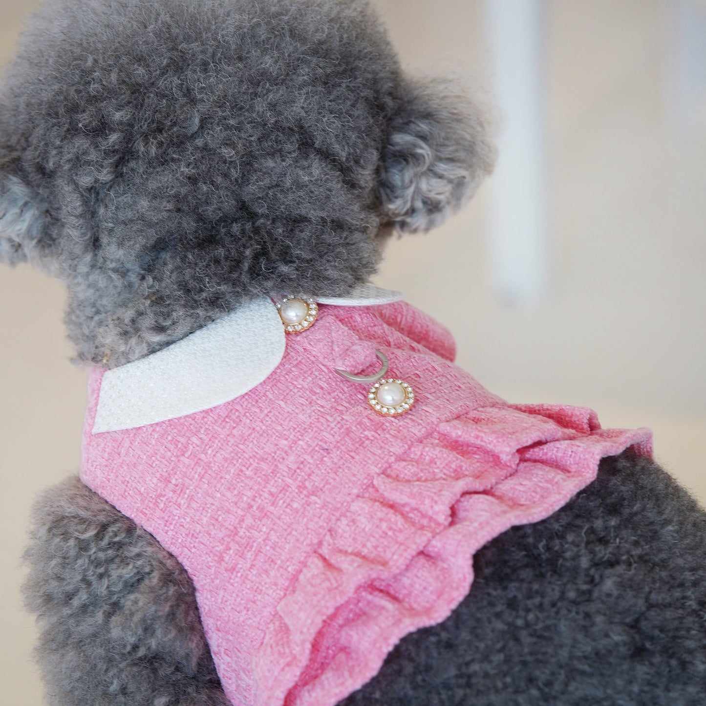 Kristen | Pet Harness Vest