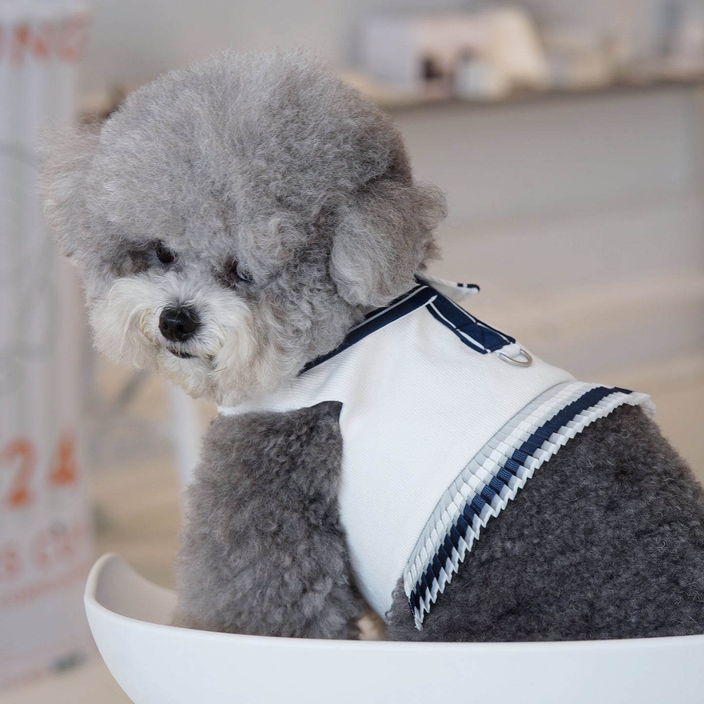 Sharapawva | Pet Harness Vest